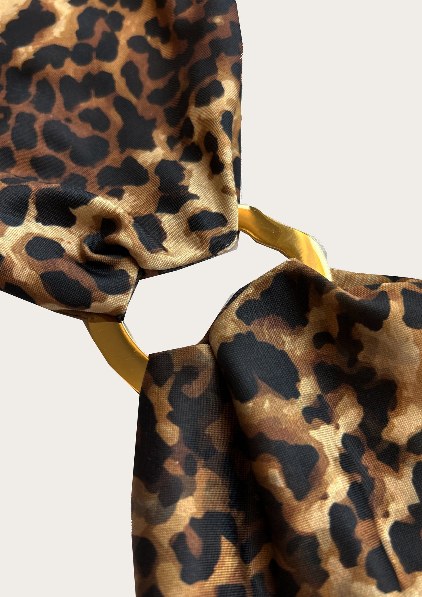 PAMELA set Leopard