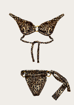 PAMELA set Leopard